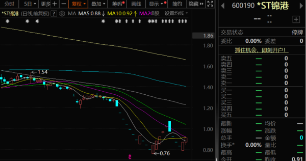 爱配投资 600190，连续多年财务造假，退市
